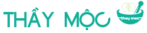 logothaymoc THẦY MỘC